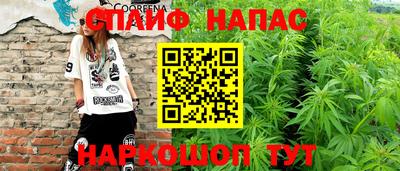 дмт Волгодонск