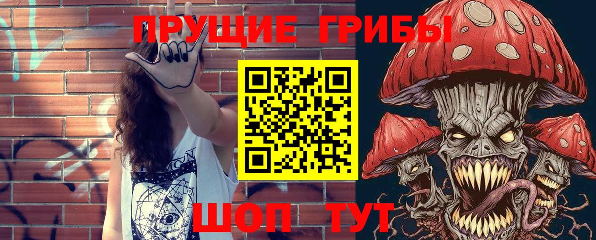 Сорочинск  Галлюциногенные грибы MAGIC MUSHROOMS  Вход с VPN 